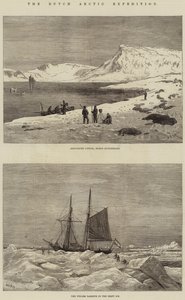De Nederlandse Arctische Expeditie